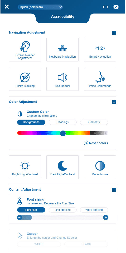 Website Accessibility Features
